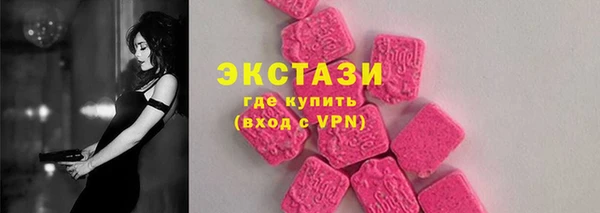 ECSTASY Алзамай