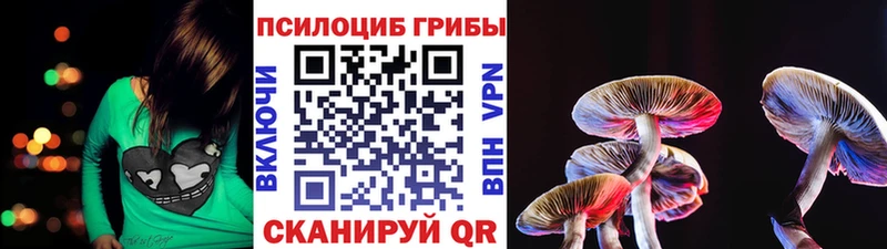 Галлюциногенные грибы Cubensis  Гдов 
